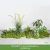 Paisagismo com Plantas Verdes Paisagismo de Sala de Estar Interna Paisagismo sob a Janela da Escada Arranjo de Decoração Plantas Artificiais Biônicas