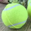 Brinquedo de Pet Tênis para Cachorro Tênis Mordida Bola Elástica Moer Dentes Lançamento Treinamento Bola de Treinamento para Cachorro