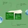 Jaysuing Crema para el Cuidado de los Pies con Aceite de Árbol de Té Extractos de Plantas Nutre y Refresca los Pies, Cuidado de la Piel No Pegajoso