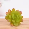 Plantas Verdes Carnudas Flor Joia Pequena Decoração de Escritório Plantas Verdes Carnudas Flores Plantas Carnudas Simulação