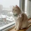 4 Peças de Gola de Renda para Cachorros Gatos, Gola Princesa Ajustável Macia com Laço de Veludo e Pérola, Adereço Fofo para Fotos de Pets para Todas as Estações