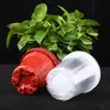 Direto da Fábrica vaso de flor de plástico transparente autoabsorvente preguiçoso plantio hidropônico rabanete verde bacia redonda para armazenamento de água
