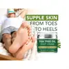 Creme para Pés com Óleo de Melaleuca para Exportação Transfronteiriça 50g Creme para Pés com Óleo de Melaleuca Entrega Local Transfronteiriça