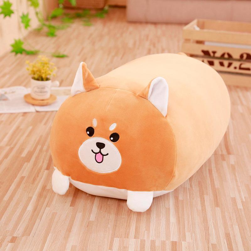 柴犬.jpg