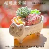 Conejo de Precio Especial Sencillo Macetas Pequeñas Liquidación al por Mayor Creativo Lindo Animal Dibujos Animados Suculenta Cerámica Macetas para Plantas Flores