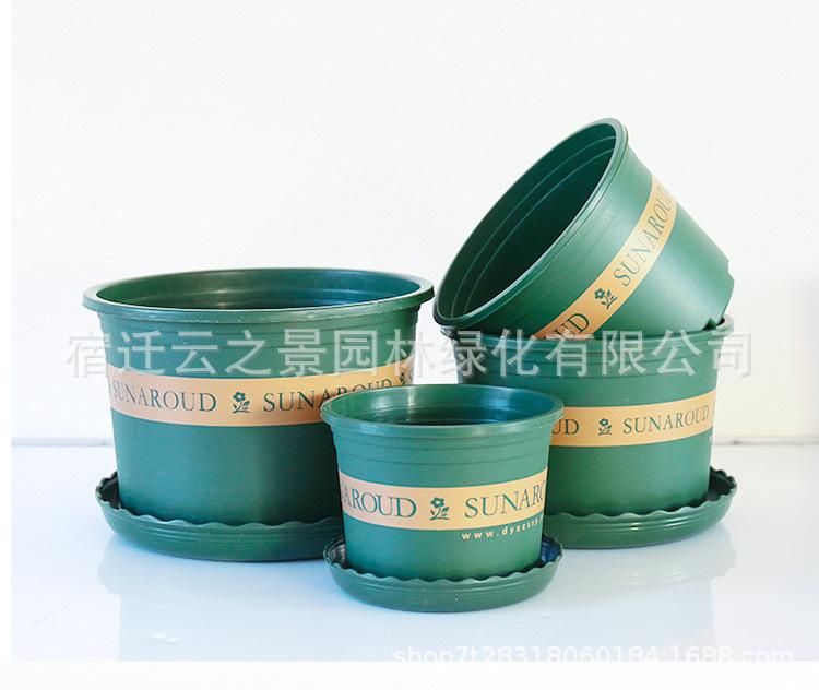 详细12.JPG