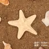 Estrella de Mar de Concha Artificial Grande Accesorios de Resina DIY Pegatinas para Nevera Accesorios para Tocados Joyería Hebillas para Zapatos Estilo Caliente Transfronterizo DIY