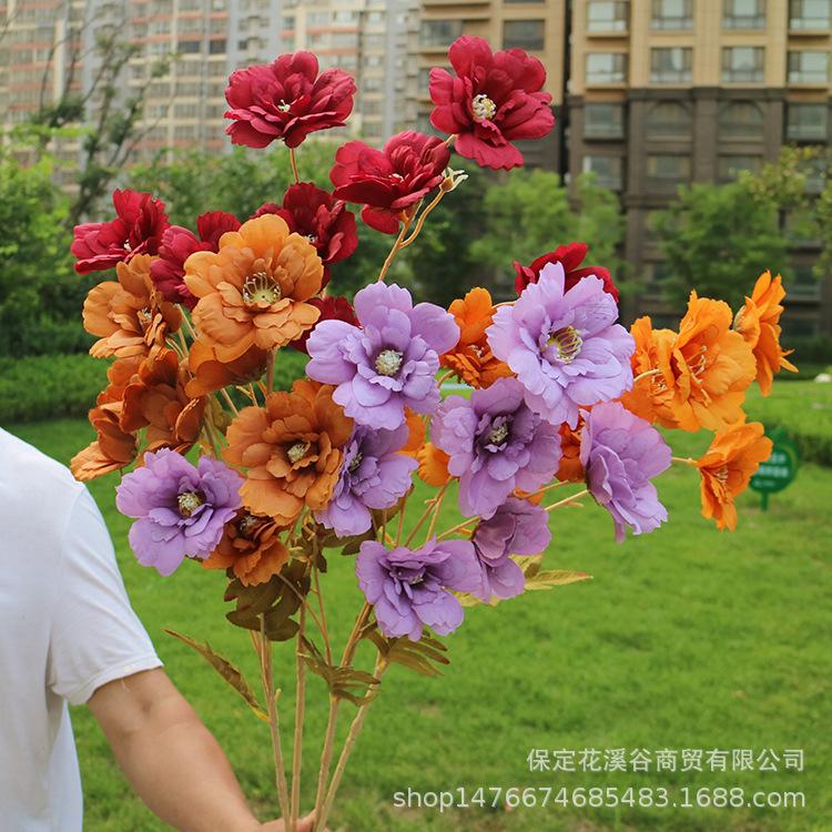 主图 花溪谷.JPG