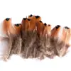 80 Tipos de Penas Naturais de Faisão, Penas Reais, Decorações Nativas Americanas, Acessórios DIY, Acessórios de Cabelo, Peças para Brinquedo de Vara para Gato