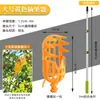 El artefacto para recoger fruta se puede conectar al poste largo telescópico para recoger níspero, caqui, mirto, manzana, longan, azufaifa, albaricoque, nuez, fruta