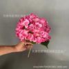 Simulación de una sola flor de hortensia con tacto realista, decoración floral para hotel, boda, flor de seda, flor falsa, accesorios de fotografía
