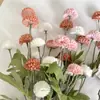 Color de otoño 5 cabezas de pompón diente de león flor artificial ramo de flores secas exhibición de flores falsas decoración mesa de comedor arreglo floral cross-border dropshipping