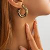 Moda Transfronteriza Europea y Americana Estilo Ins Pendientes Colgantes Sexys con Estampado de Leopardo para Mujer Pendientes Geométricos Irregulares en Forma de C de Resina Creativa