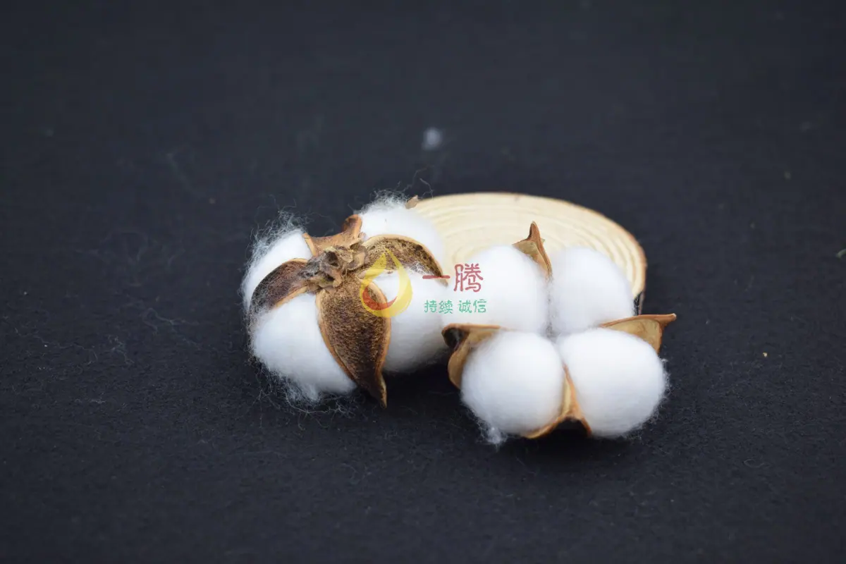 铁丝棉花头