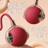Brinquedo de bola rolante inteligente para gatos, brinquedo autoentretenedor para cães e gatos, bola de brincar automática para gatos, brinquedo durável para gatos, suprimentos para animais de estimação