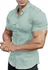 Camisa Masculina Europeia e Americana de Manga Curta Transfronteiriça Estampa Digital 3D Casual Versátil Cor Sólida Camisa de Lapela para Homens Musculosos