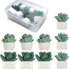 Venta directa de fábrica de resina carnosa con forma de cactus en maceta, pegatina para refrigerador, imán para pizarra blanca de oficina en casa, imán para plantas