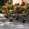 Hojas artificiales esparciendo Accesorios de pared para planta de Banyan color cambiante Madera alta simulación hojas coloridas hojas grandes color cambiante Maceta de madera fabricante