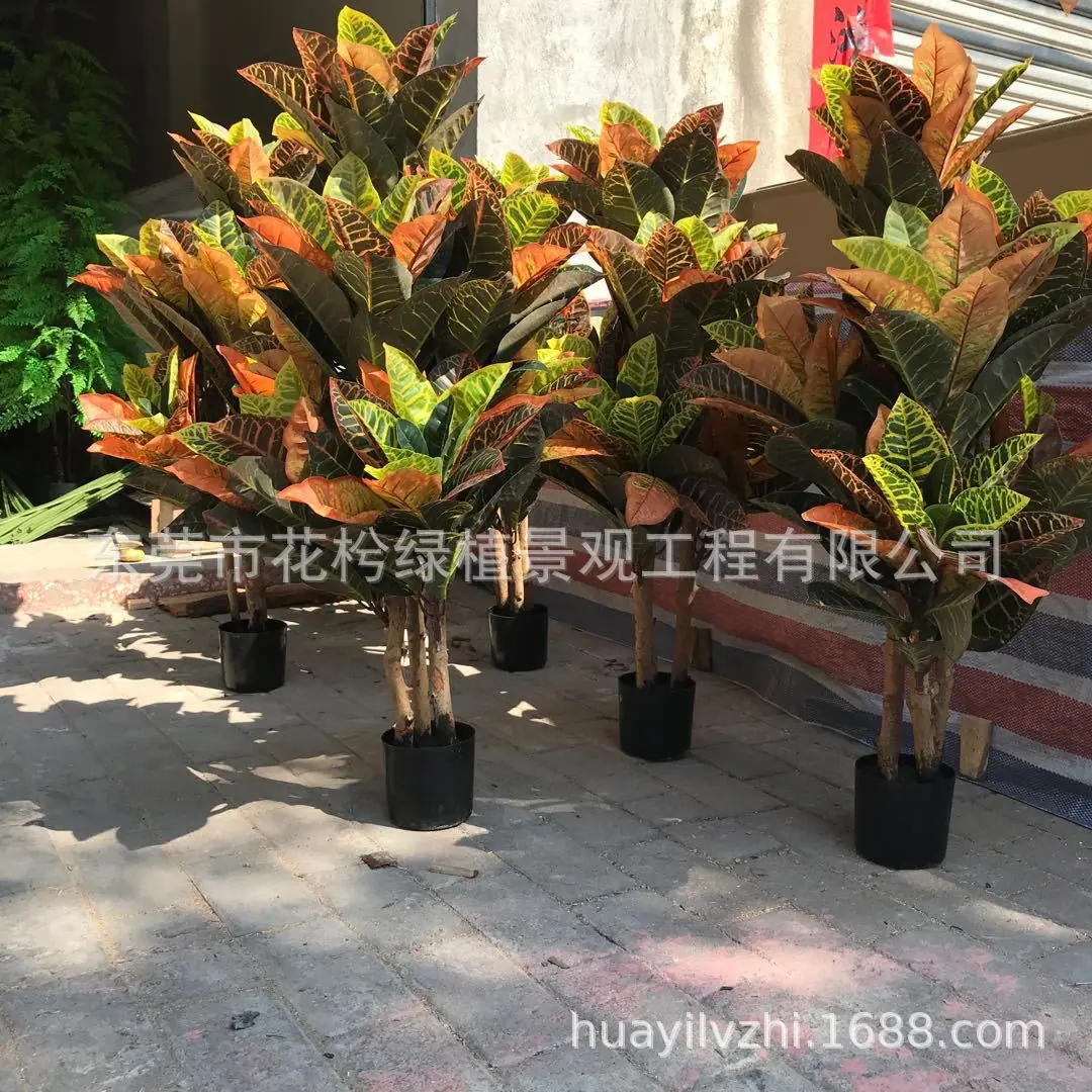 图片_202002271604398