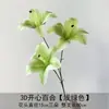 Salón de Bodas Decoración Suave con Plantas Verdes de Moda, Pared de Flores de Plantas Verdes Artificiales, Decoración de Techo, Guía de Pasillo, Fondo, Decoración Suave de Interior, Arreglo Floral en Capas