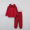 25 Outono e Inverno Novo Conjunto de Calça e Moletom de Cor Pura para Crianças Pulôver Casual com Capuz Peça Única Dropshipping