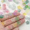 Acessórios para Joias DIY Flor com Pó Dourado 11mm Flor de Ameixa Estilo Antigo Pétalas de Acrílico Flor de Cinco Pétalas Grampo de Cabelo Coroa de Cabelo Brincos