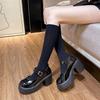 Zapatos de Tacón Grueso Estilo Francés de Talla Grande para Mujer, Nueva Moda Primavera 2026 Zapatos de Plataforma Mary Jane de Suela Gruesa con una Sola Correa