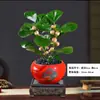 Planta de Bodhi Pequeña en Maceta con Frutos para Entrega Planta Verde de Interior Flor Sala de Estar Oficina Escritorio Planta Ornamenta Atrae la Fortuna