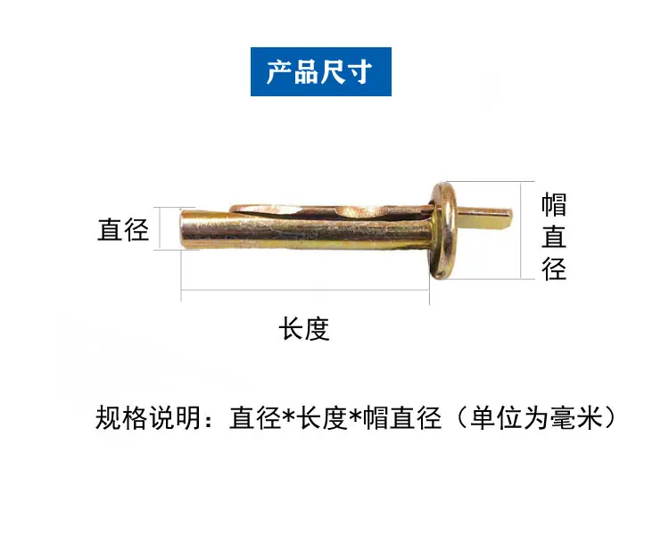 插片壁虎12