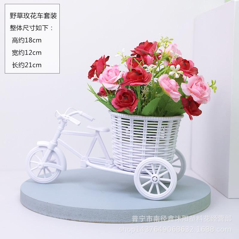 3D1A5520.jpg