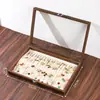 Caja de Joyería a Prueba de Polvo con Tapa para Pulseras, Anillos, Collares, Pendientes y Coleccionables - En Stock