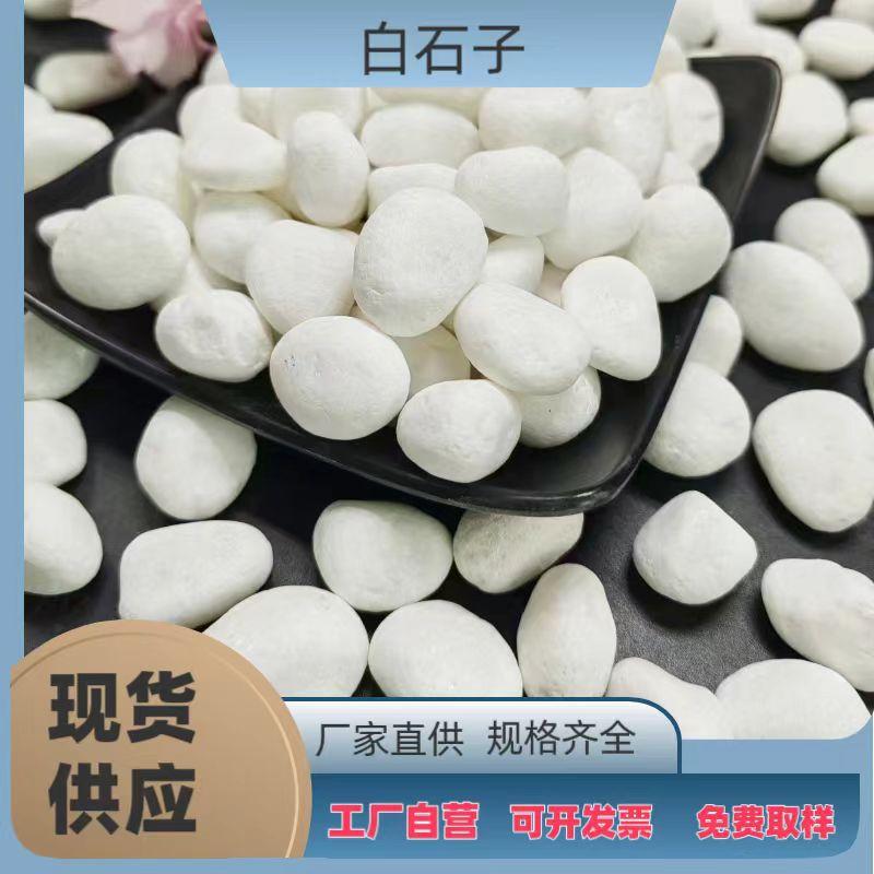 2b877e7ab1ebd204c0f69023f8fc55