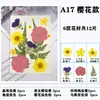 Paquete de Hojas de Flores Secas DIY Cristal Epoxi Paquete de Materiales de Flores Hechos a Mano Pegatinas de Flores Prensadas Materiales Plantas Decorativas Muestras Fotografía