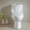 Exportado al Sudeste Asiático y Asia Central, Inodoro de Baño de una Pieza con Desagüe Trasero, Inodoro de Descarga Horizontal con Desagüe al Piso de Comercio Exterior