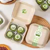 Caja de Empaque para Dumplings Verdes, Caja de Regalo para Dumplings Verdes, Lonchera para Picnic de Primavera, Caja para Postres de Hojaldre para Camping