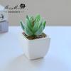Suculenta Pequeño Bonsái Cerámica Muebles para el Hogar Decoración Fabricante de Jinhua Plantas Verdes Aliexpress Flor Artificial Plantas en Maceta