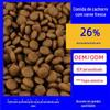 Ração para cães filhotes, preço integral, 20kg, para raças pequenas, processamento OEM, sem grãos para cães de grande porte.