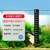 Termômetro para Aquário Tanque de Peixes Medidor de Temperatura da Água de Alta Precisão Gancho Adesivo Submersível Medição de Temperatura para Peixes Ornamentais, Peixes Tropicais, Tartarugas