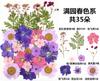 Bolsa de Rafia para Plantas Bolsa de Material para Estampado de Flores Secas Espécimen de Hoja de Flor Real Pintura DIY Marcapáginas Goteo de Pegamento Posavasos de Flores Secas
