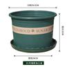 Vaso de Galão Atacado Vaso de Flor de Plástico Vaso de Flor Rosa Pothos Suculenta Varanda Sala de Estar Doméstico Resina Vaso de Flor