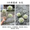 Arranjo Floral Decorativo Suave: Dente-de-leão Artificial com 3 Bolas de Cebola, Flor de Cebola, Hortênsia, Decoração de Casamento e Casa, Flores Artificiais para Atacado