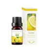 Comercio exterior transfronterizo aceite esencial de aromaterapia soluble en agua humidificador piedra expansora aceite esencial interior armario ambientador incienso fresco