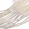 Collar de Perlas de Arroz para Mujer Todo-partido Nicho Joyería para Clavícula Collar Sencillo Nuevo