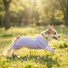 Nuevo mono para mascota Corgi, mameluco de cuatro patas transpirable y protector solar para perros en primavera y verano, pijama fino y lindo para casa