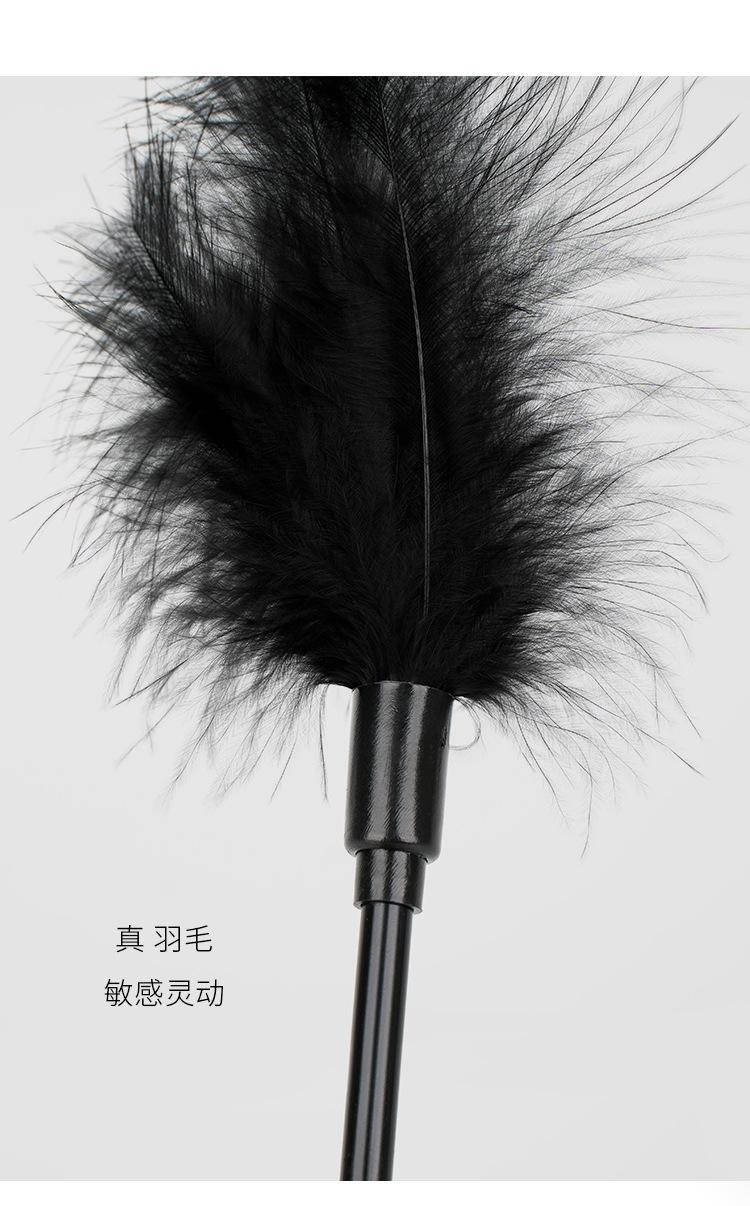 Z437 (6).jpg
