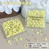 Accesorios de Arte para Uñas de Flor Colorida de Cinco Pétalos Populares Transfronterizos Flores Pequeñas Blancas de Resina Estéreo Accesorios de Diamantes para Uñas Portátiles DIY