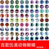 Olhos Artificiais para Bonecas de Animais, Olhos Torcidos Feitos à Mão, Globos Oculares de Vidro Cristalino, Olhos Falsos de Dinossauro, Outros, Wuzhou, Guangxi, Nenhum