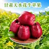 Manzanas Huaniu de Tianshui, Gansu Dropshipping 4.5/ 4kg Fruta de Serpiente Huaniu Productos Agrícolas Comestibles Fruta Fresca
