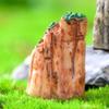 Micropaisaje de musgo, simulación creativa de rocalla de piedra, materiales de paisajismo, accesorios decorativos de bricolaje, escena en miniatura, pequeños adornos