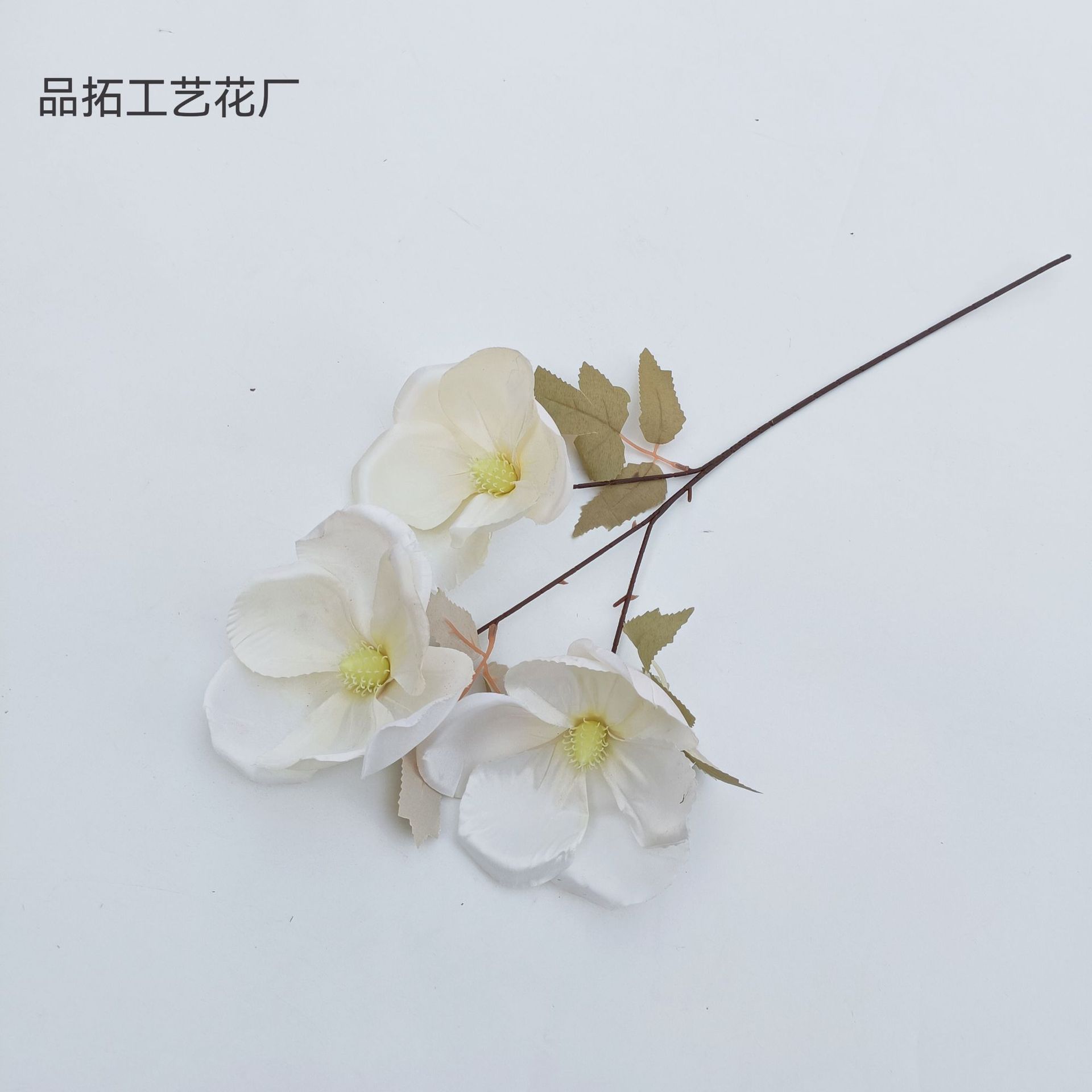 ada15d06161cb19d956cfd8c17e364